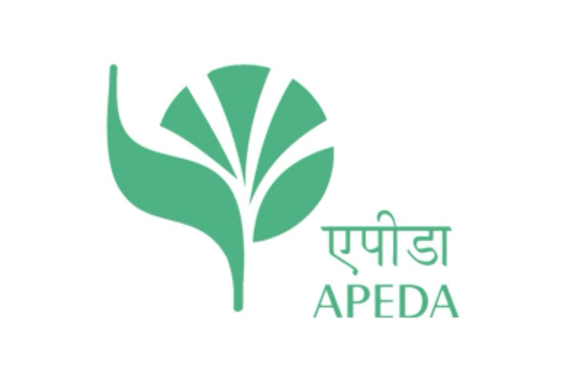 APEDA logo